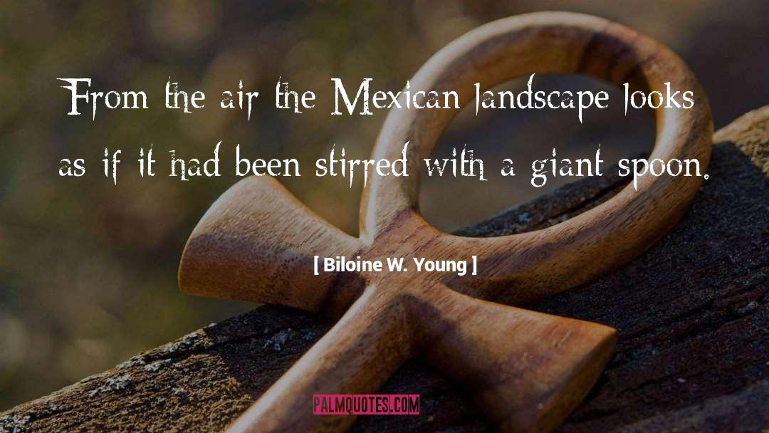 Biloine W. Young Quotes: From the air the Mexican