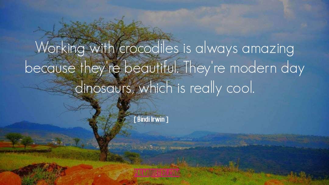 Bindi Irwin Quotes: Working with crocodiles is always