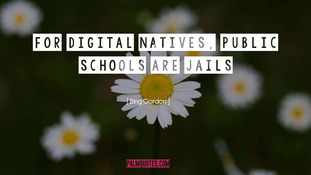 Bing Gordon Quotes: For digital natives, public schools