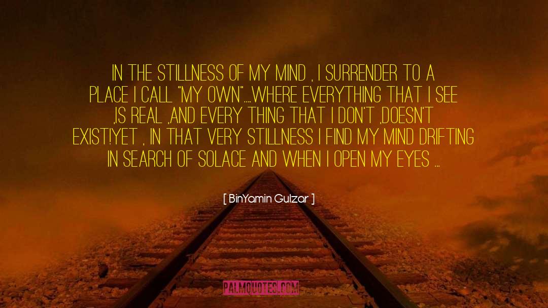 BinYamin Gulzar Quotes: In the stillness of my