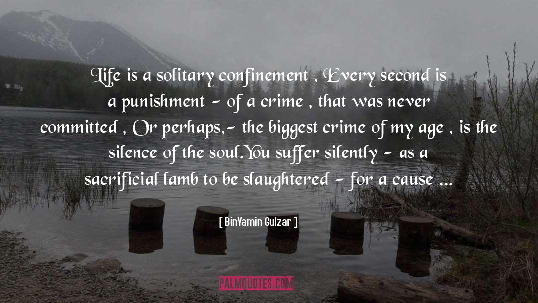 BinYamin Gulzar Quotes: Life is a solitary confinement