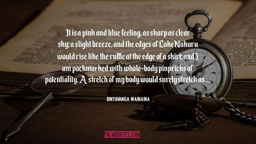 Binyavanga Wainaina Quotes: It is a pink and