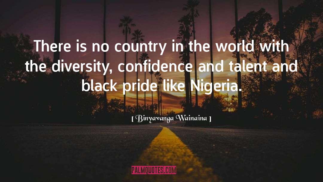 Binyavanga Wainaina Quotes: There is no country in