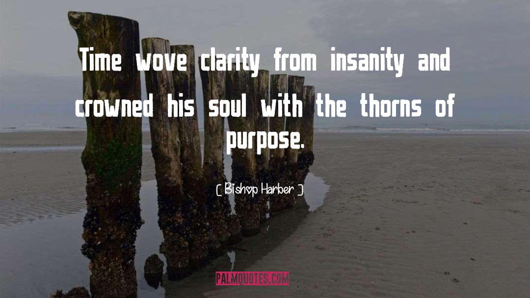 Bishop Harber Quotes: Time wove clarity from insanity