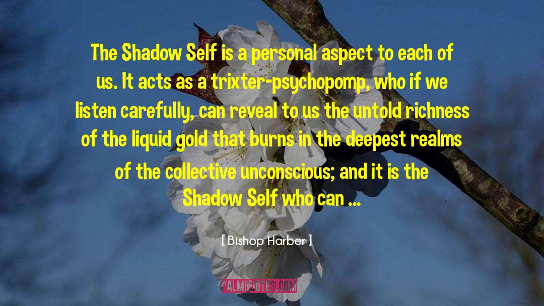 Bishop Harber Quotes: The Shadow Self is a