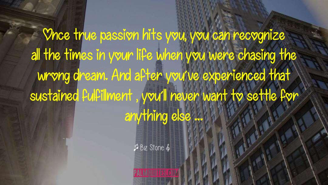 Biz Stone Quotes: Once true passion hits you,