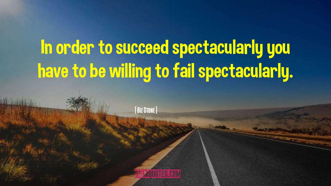 Biz Stone Quotes: In order to succeed spectacularly