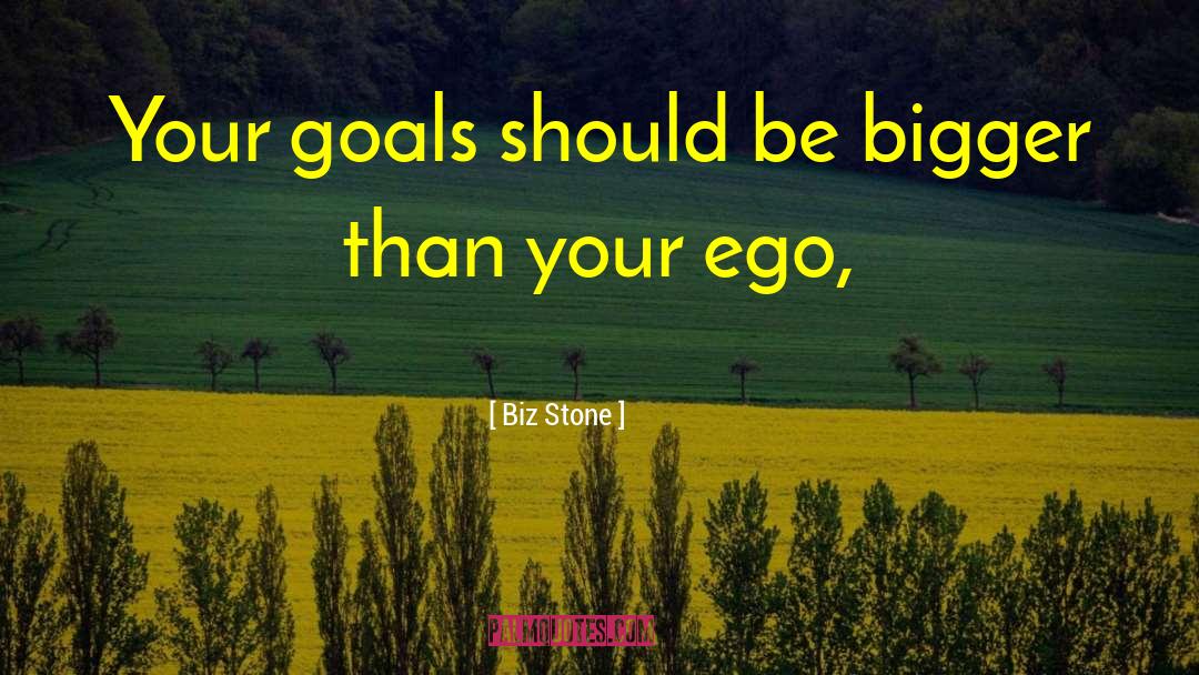 Biz Stone Quotes: Your goals should be bigger