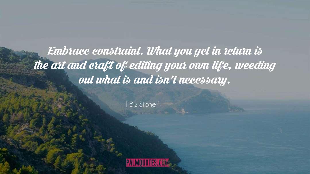 Biz Stone Quotes: Embrace constraint. What you get