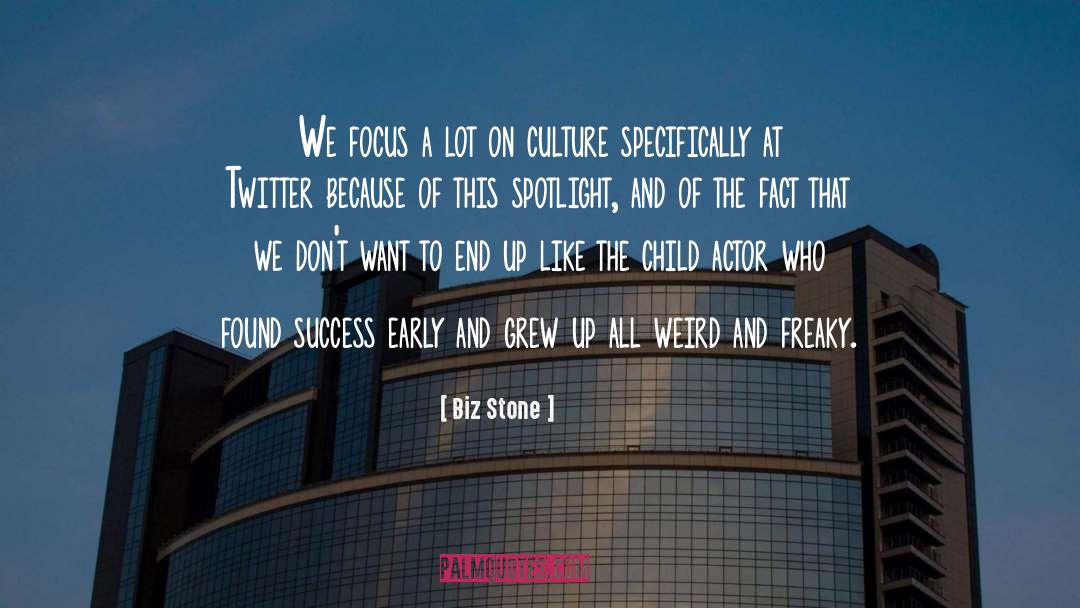 Biz Stone Quotes: We focus a lot on