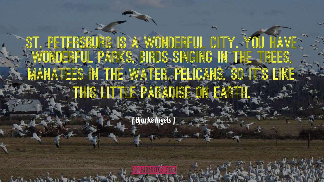 Bjarke Ingels Quotes: St. Petersburg is a wonderful