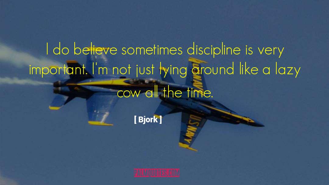 Bjork Quotes: I do believe sometimes discipline