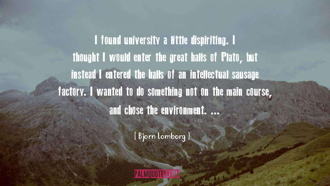 Bjorn Lomborg Quotes: I found university a little