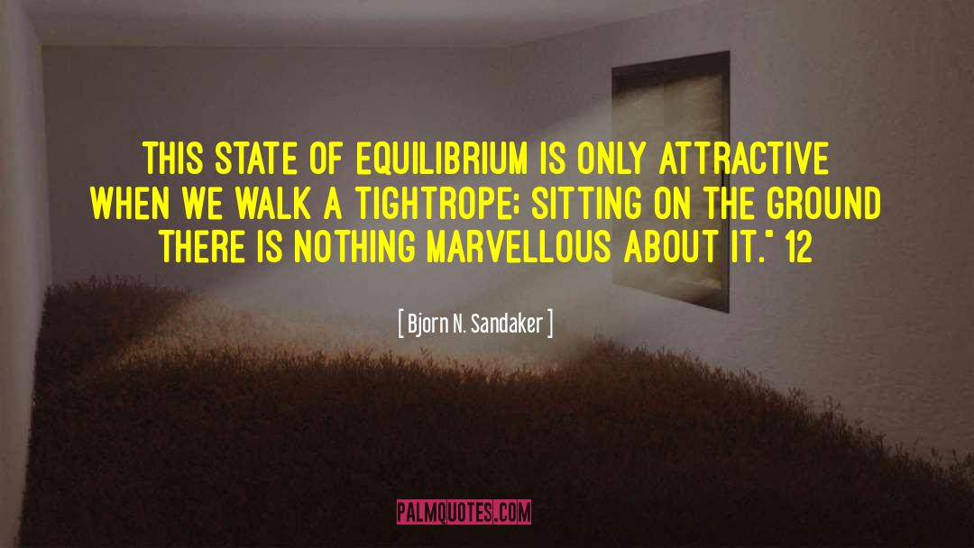 Bjorn N. Sandaker Quotes: This state of equilibrium is
