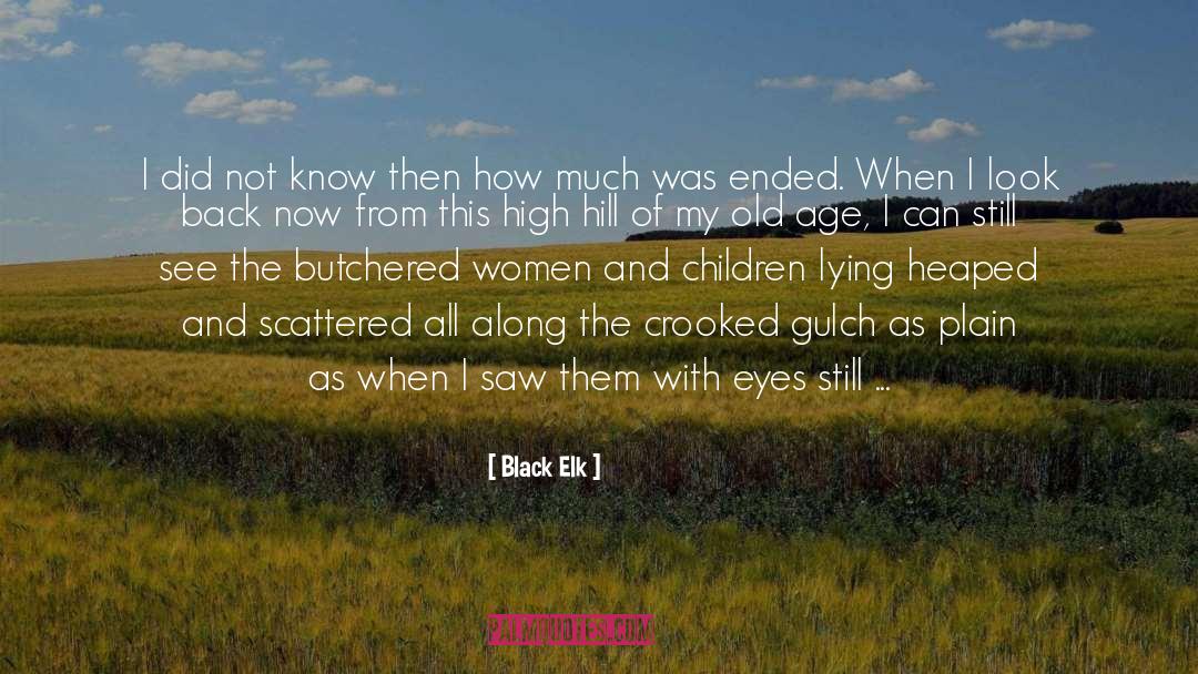Black Elk Quotes: I did not know then
