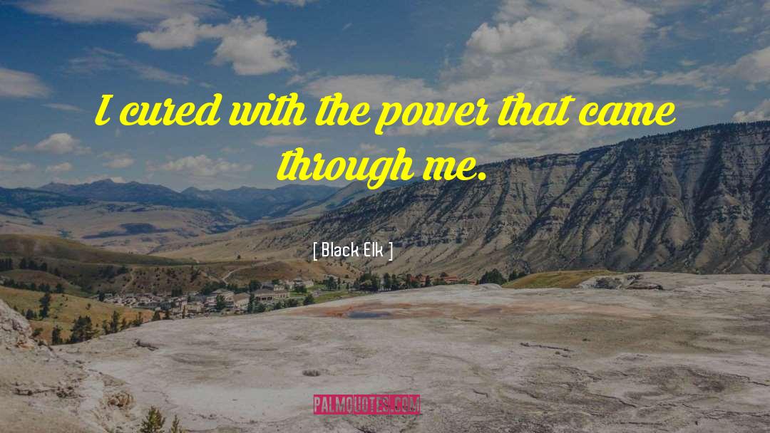 Black Elk Quotes: I cured with the power