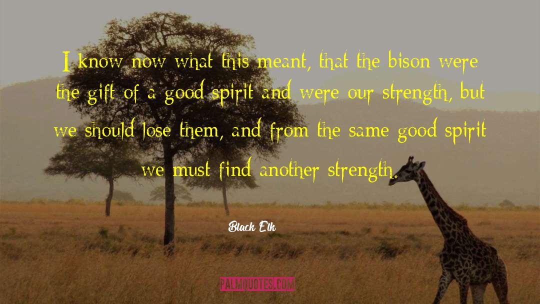 Black Elk Quotes: I know now what this