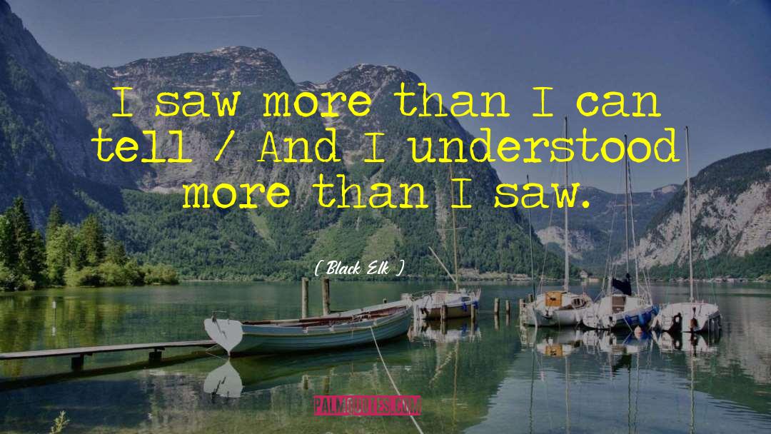 Black Elk Quotes: I saw more than I