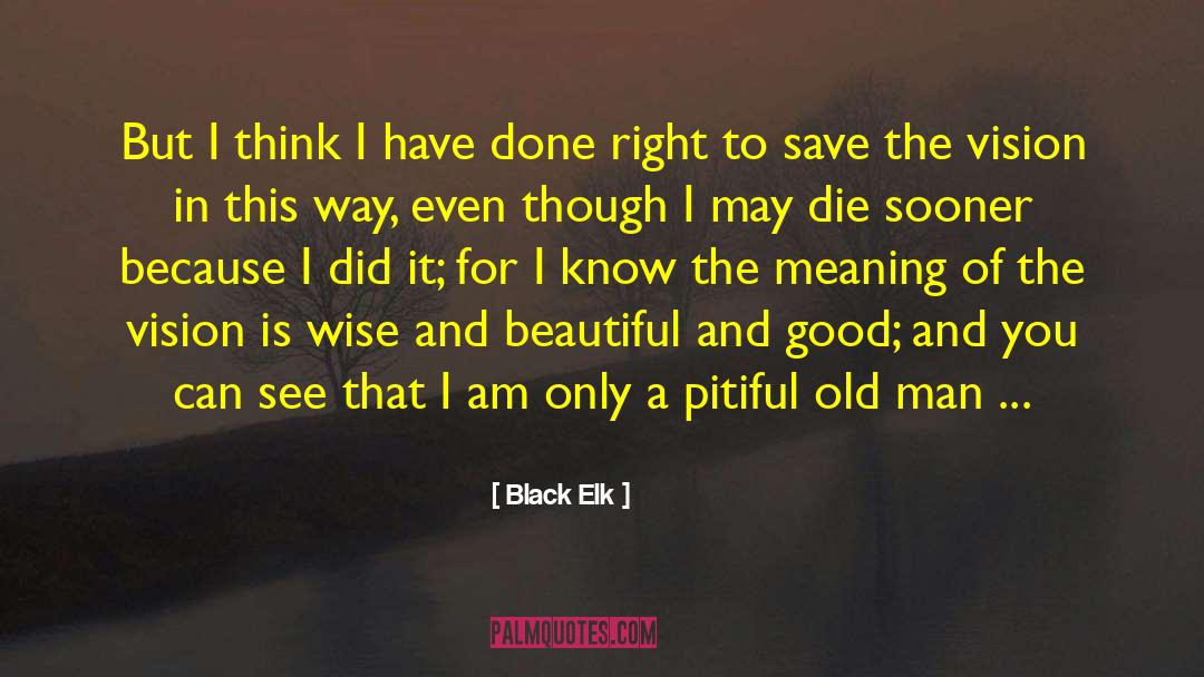 Black Elk Quotes: But I think I have