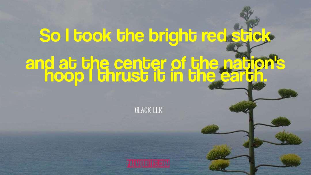 Black Elk Quotes: So I took the bright