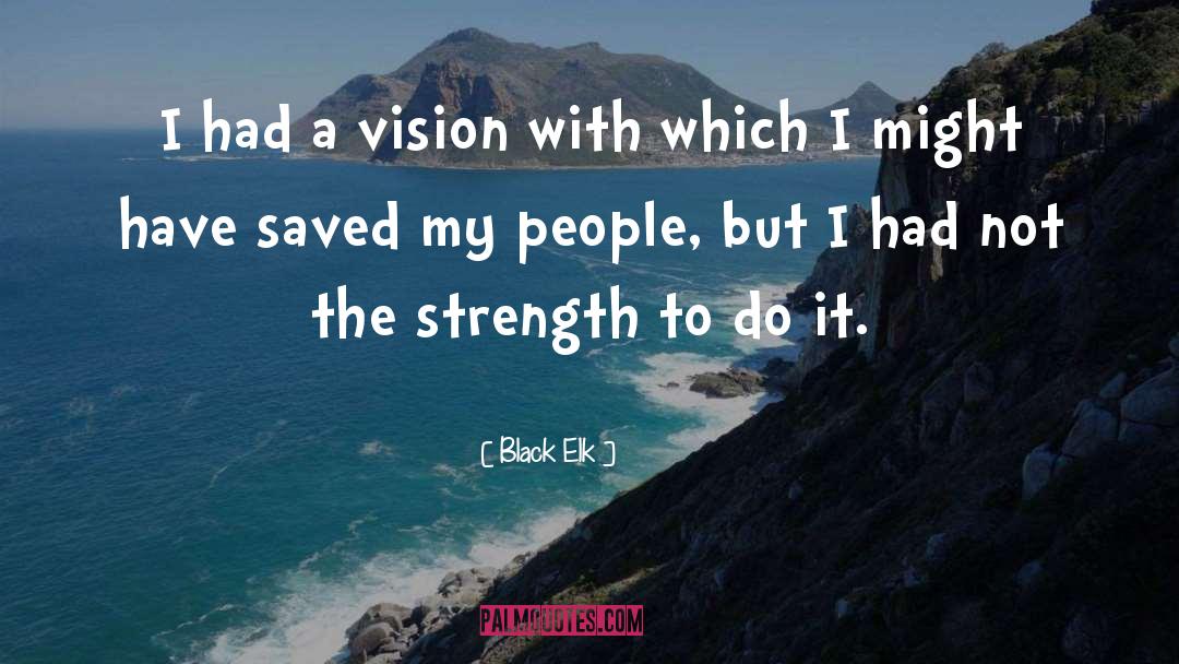 Black Elk Quotes: I had a vision with
