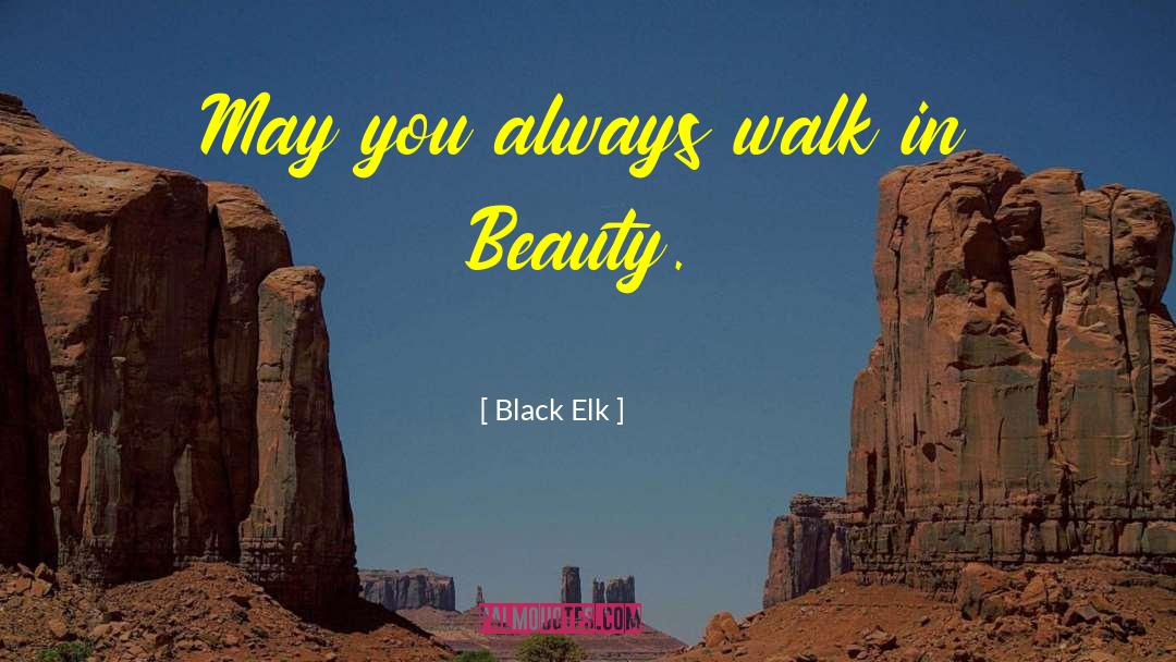 Black Elk Quotes: May you always walk in