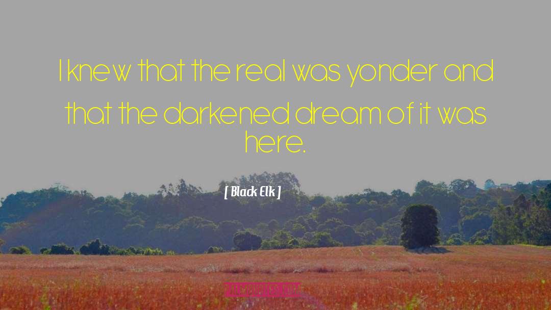 Black Elk Quotes: I knew that the real