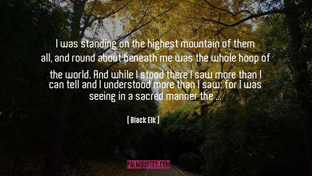 Black Elk Quotes: I was standing on the