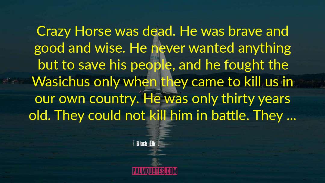 Black Elk Quotes: Crazy Horse was dead. He