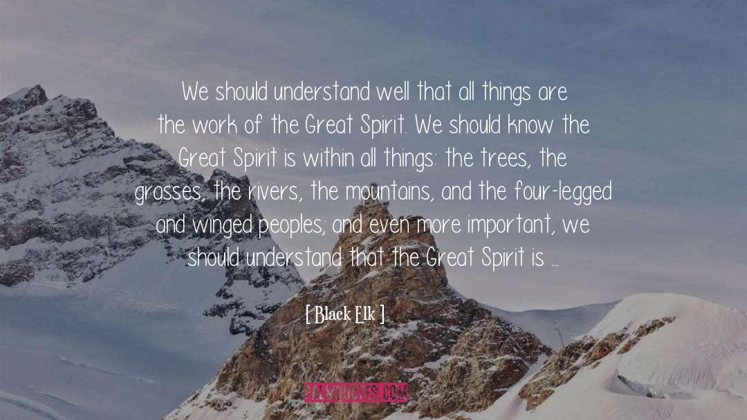Black Elk Quotes: We should understand well that