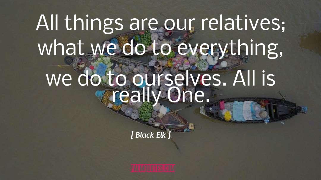 Black Elk Quotes: All things are our relatives;