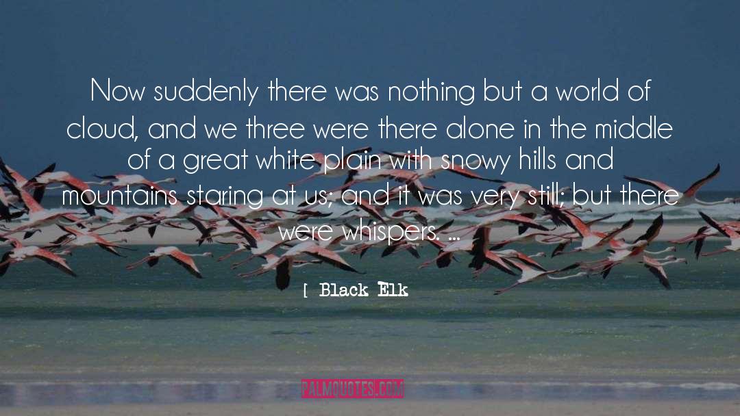 Black Elk Quotes: Now suddenly there was nothing