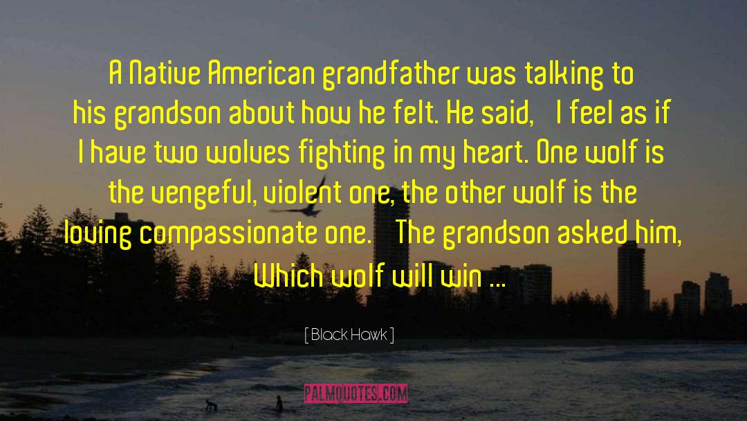 Black Hawk Quotes: A Native American grandfather was