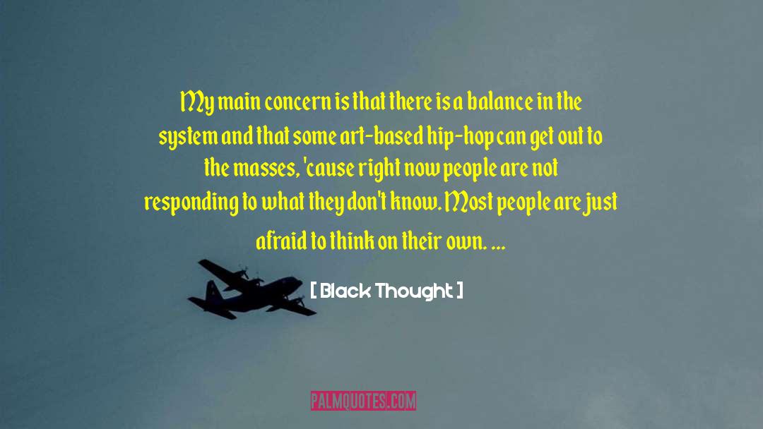 Black Thought Quotes: My main concern is that