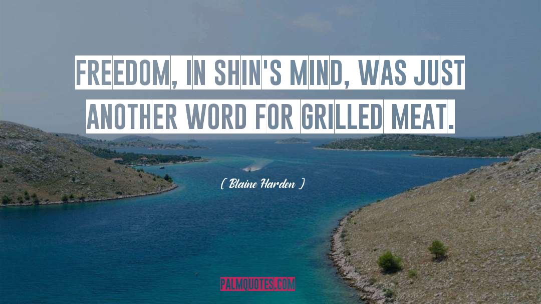 Blaine Harden Quotes: Freedom, in Shin's mind, was