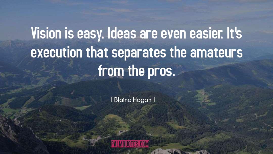 Blaine Hogan Quotes: Vision is easy. Ideas are