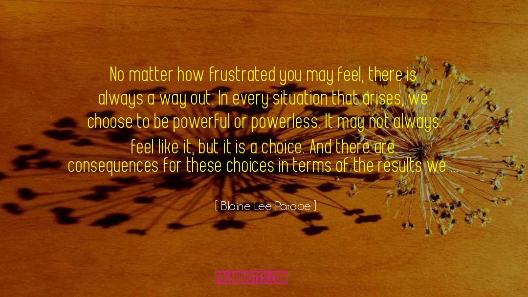 Blaine Lee Pardoe Quotes: No matter how frustrated you