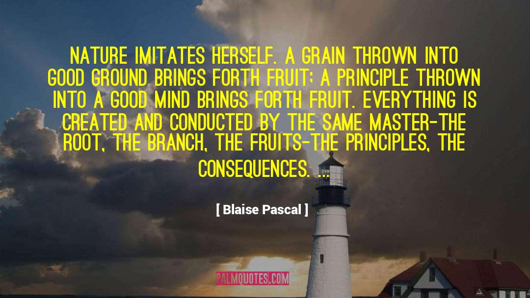 Blaise Pascal Quotes: Nature imitates herself. A grain