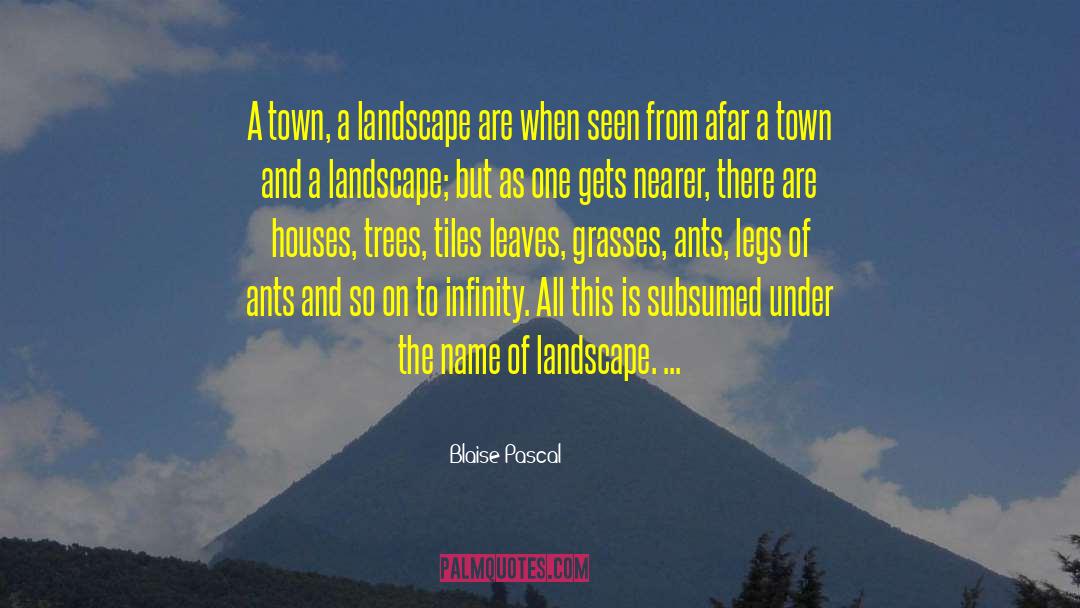 Blaise Pascal Quotes: A town, a landscape are