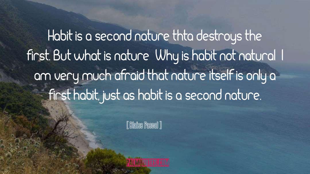 Blaise Pascal Quotes: Habit is a second nature