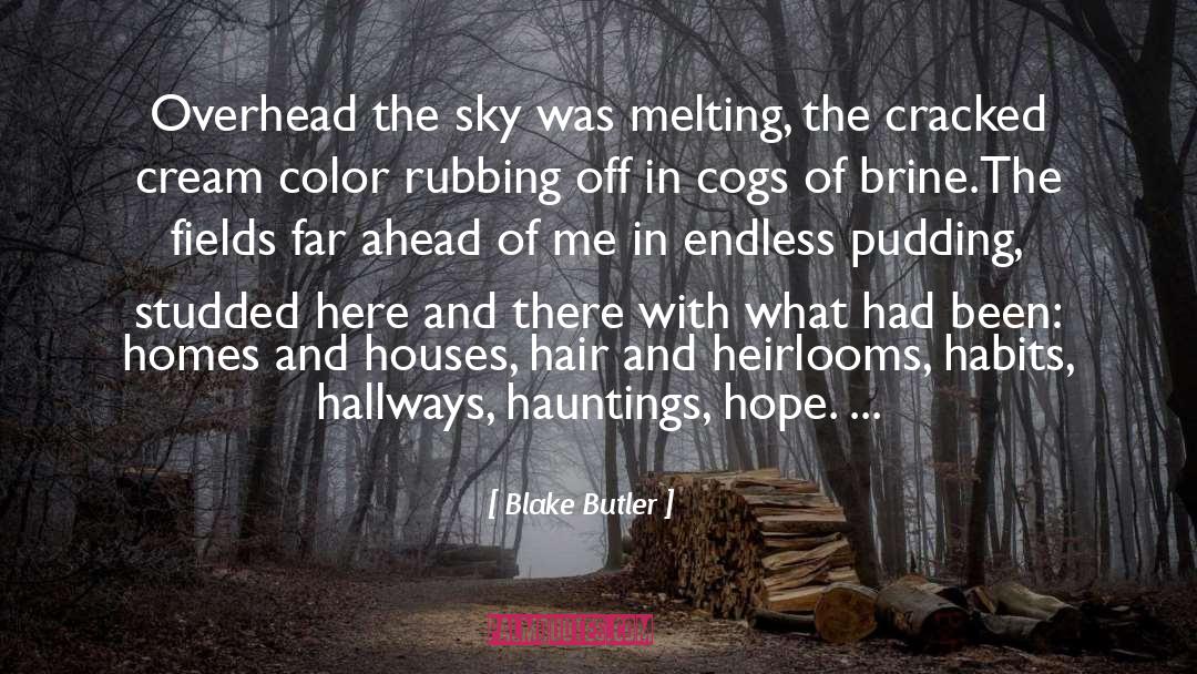 Blake Butler Quotes: Overhead the sky was melting,