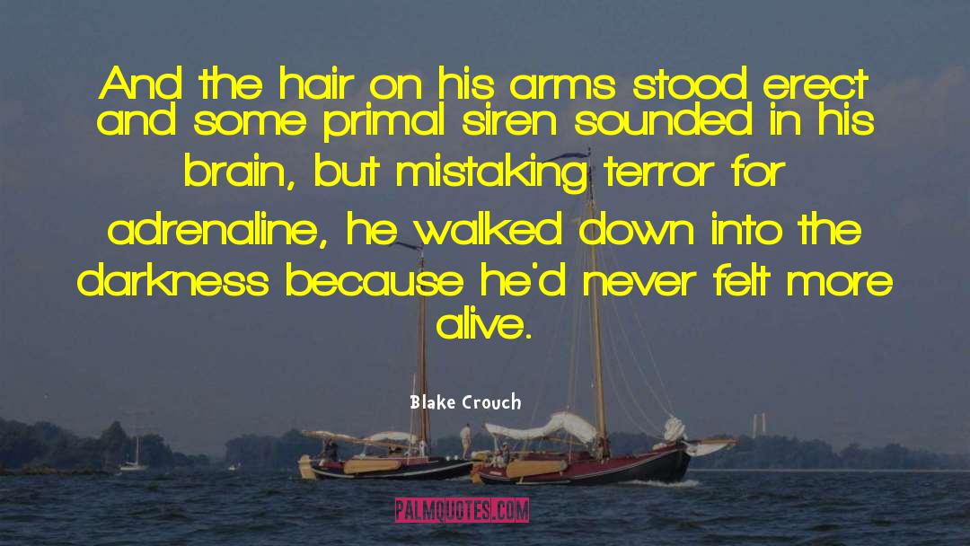 Blake Crouch Quotes: And the hair on his