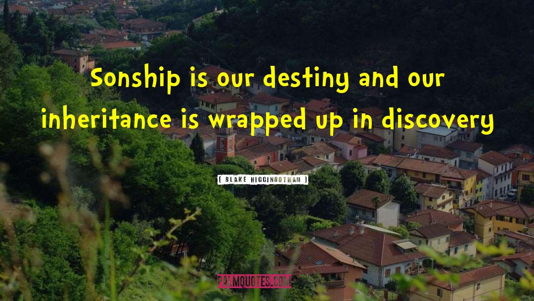 Blake Higginbotham Quotes: Sonship is our destiny and