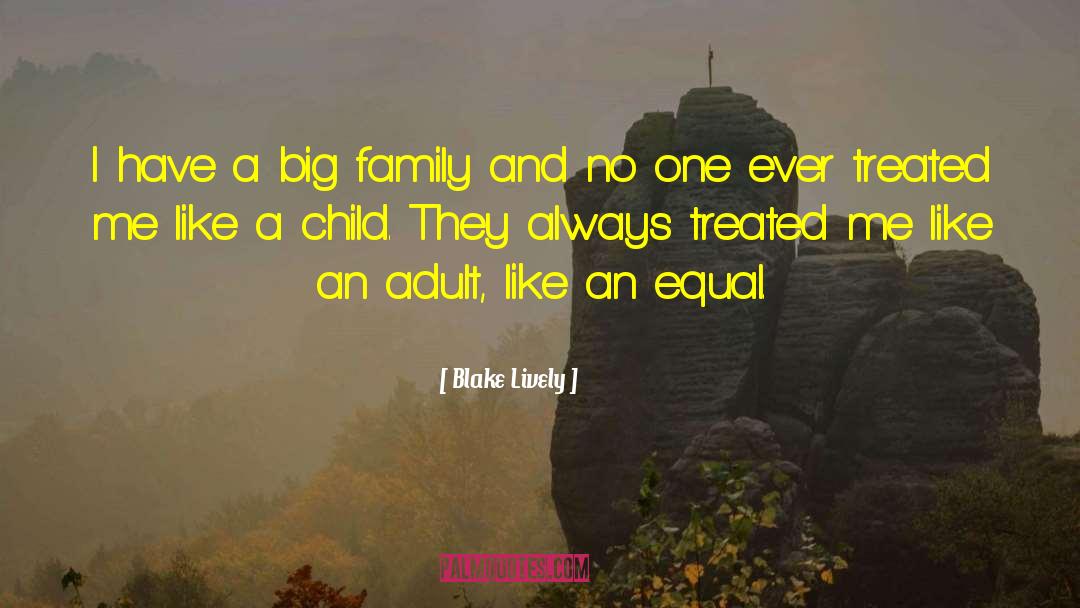 Blake Lively Quotes: I have a big family