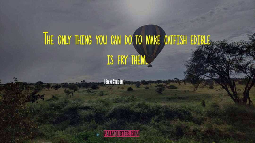 Blake Shelton Quotes: The only thing you can