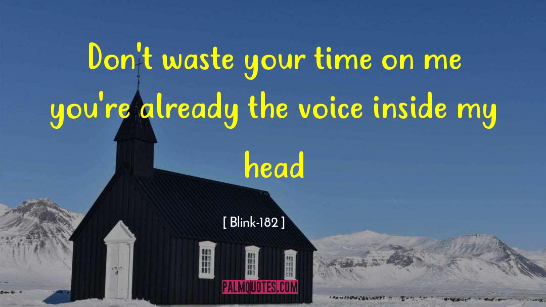 Blink-182 Quotes: Don't waste your time on