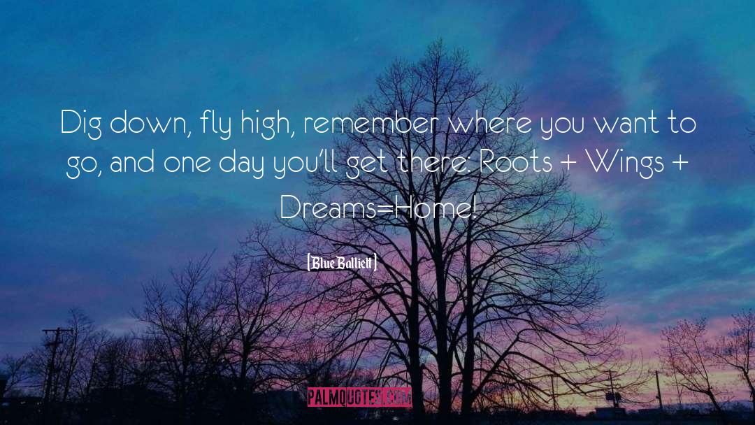 Blue Balliett Quotes: Dig down, fly high, remember