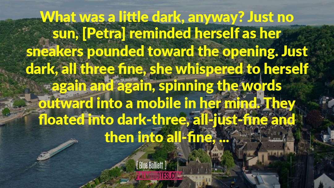 Blue Balliett Quotes: What was a little dark,