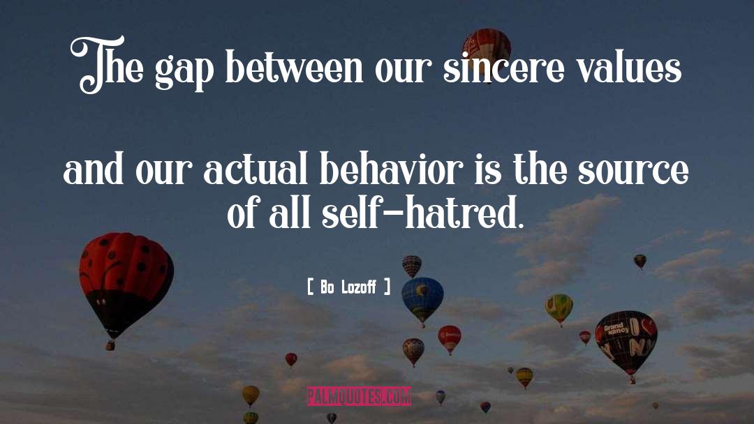 Bo Lozoff Quotes: The gap between our sincere