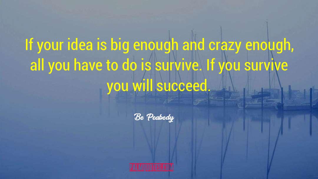 Bo Peabody Quotes: If your idea is big